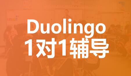 深圳多邻国个性化1对1课程