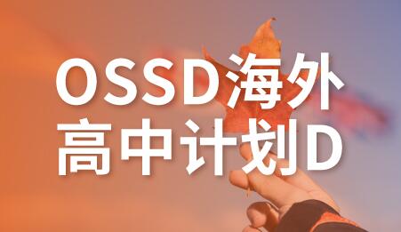 深圳OSSD海外高中计划D